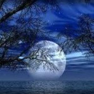 Meet your Posher, Ellen